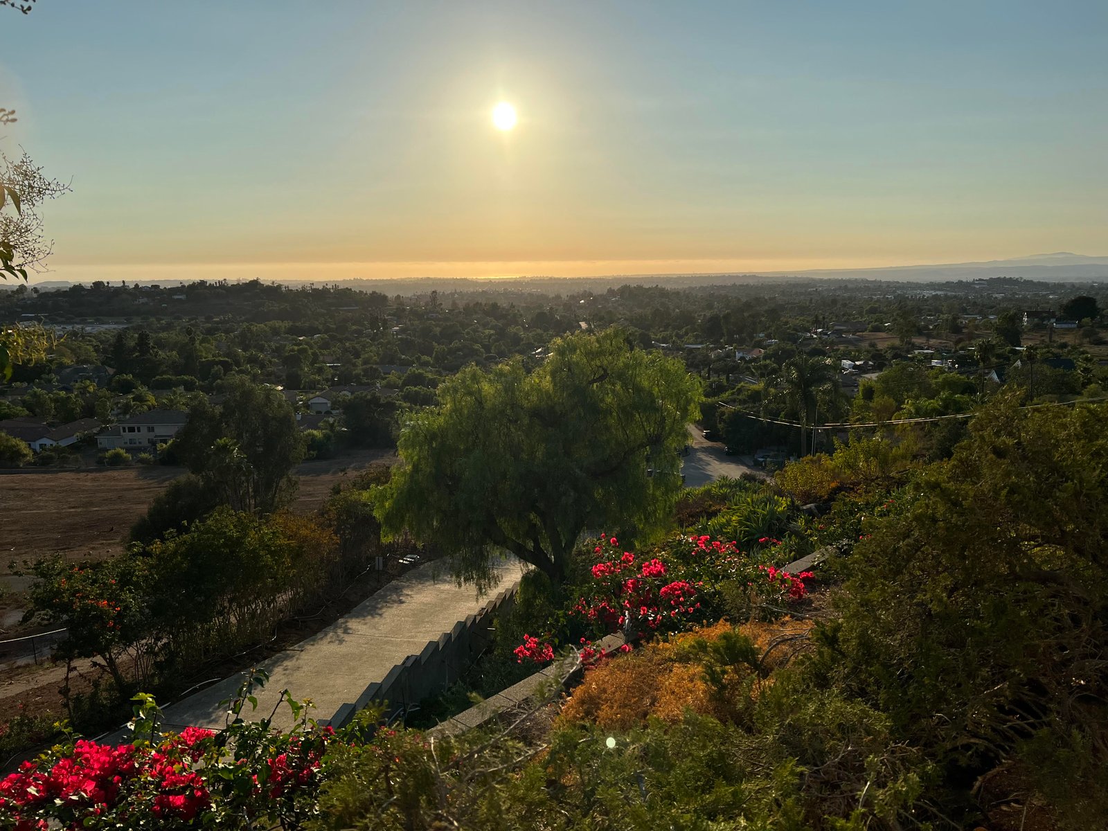 Beautiful SoCal home with palms